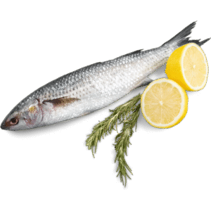 Salmón (1kg)